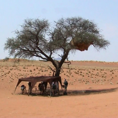 Filmpräsentation: Namibia